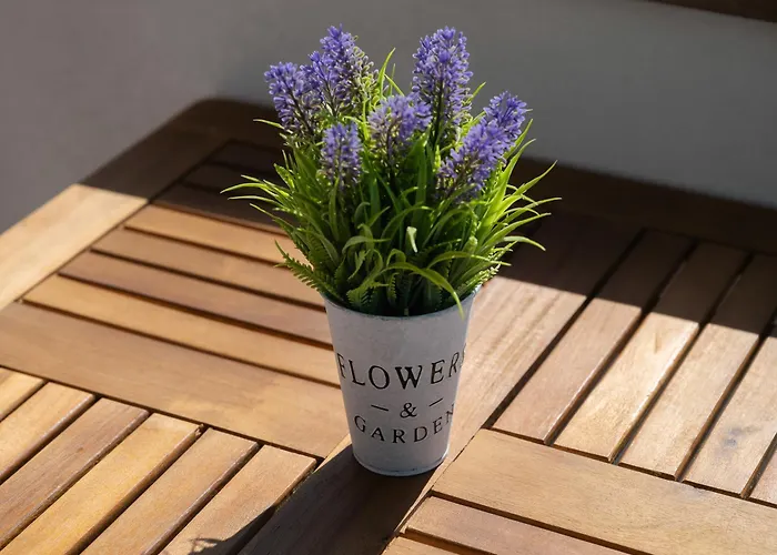 King Size Bed With Air Conditioning Near The & Free Street Parking * Canidelo (Vila Nova de Gaia)